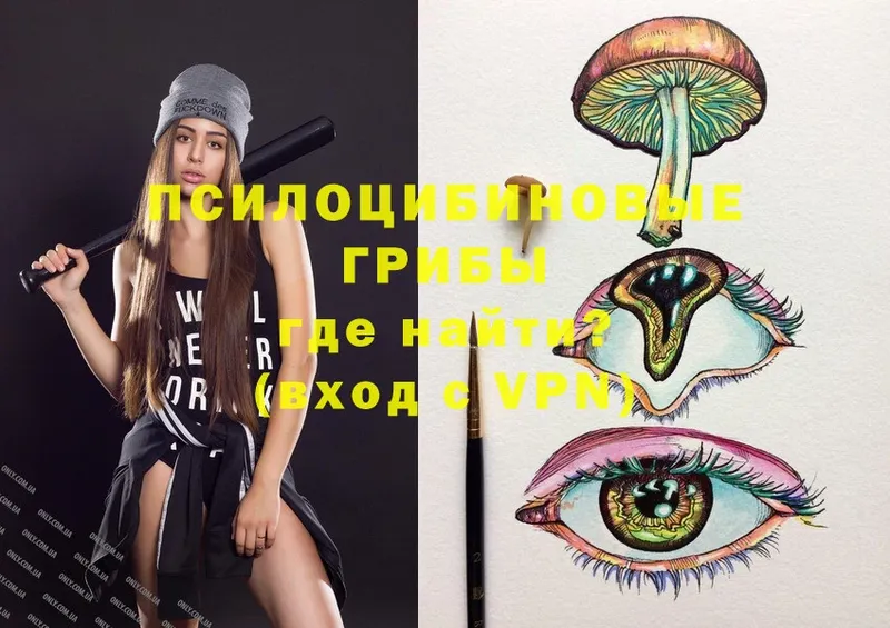 Псилоцибиновые грибы Psilocybe  Котовск 